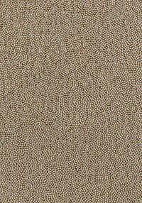 Titanium