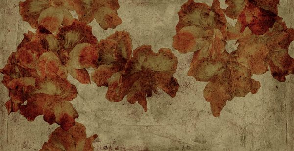FL16 - Image 2