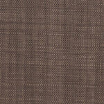 Muir Sequoia