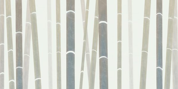 NA22 - Image 2